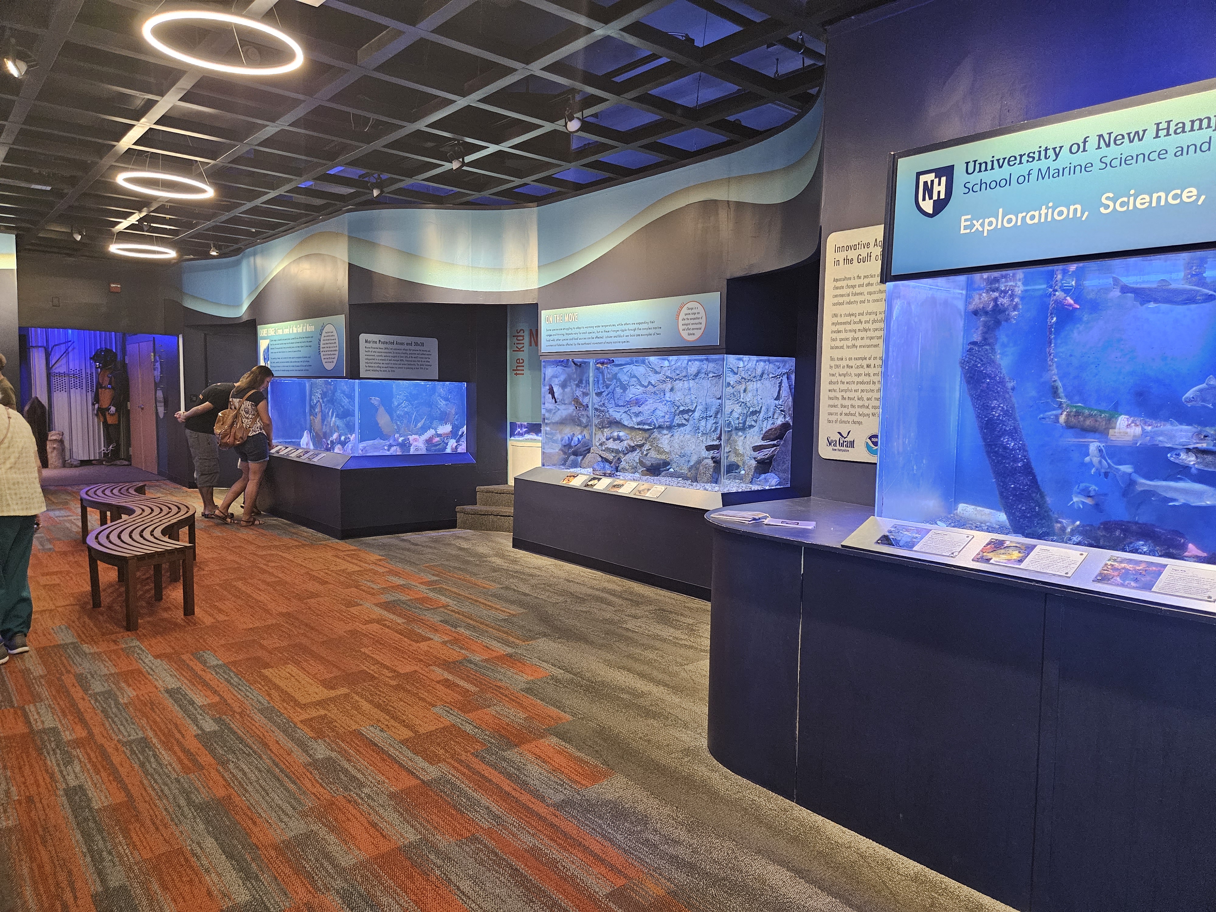A Surprising Alternative to the New England Aquarium